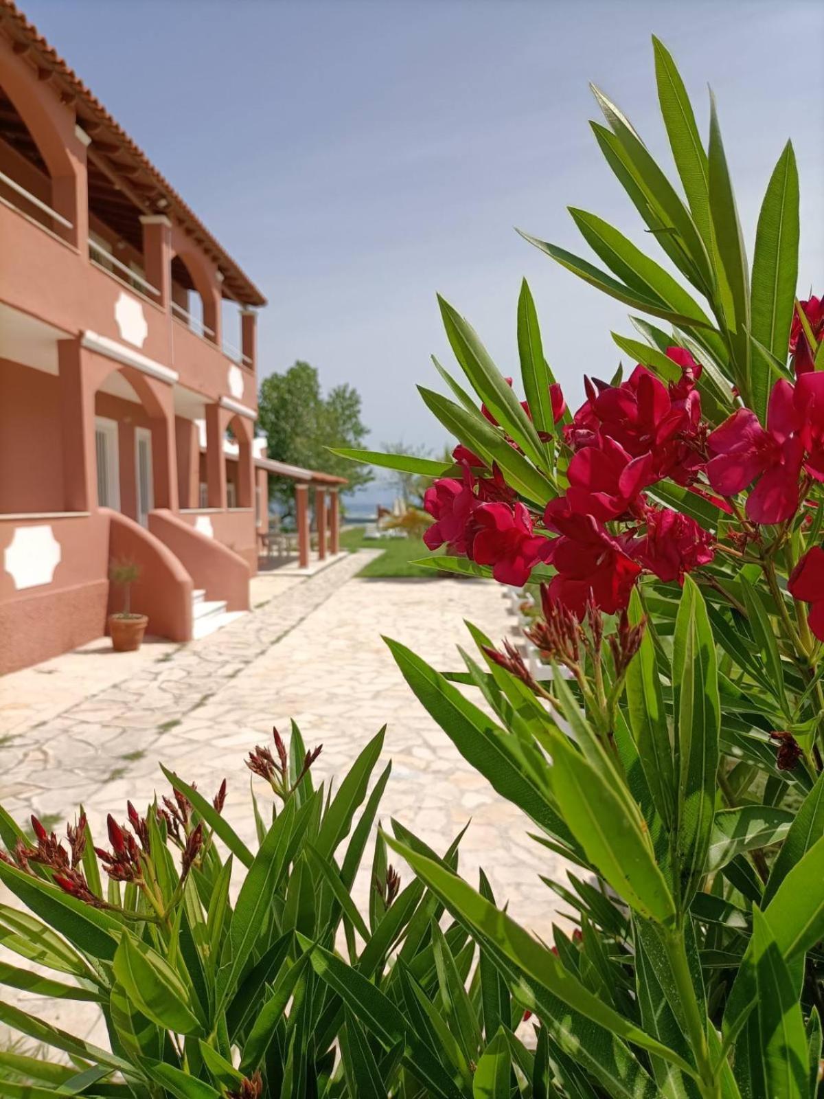 Melador Beachfront Apartments Kávos Exterior foto